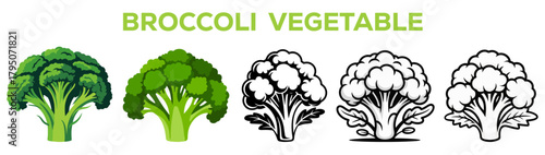 Broccoli vegetables Fresh and healthy Food Hand-Drawing Vector Set on white background.
