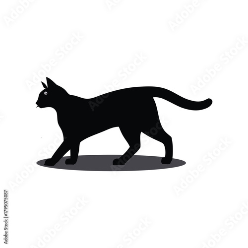 A cat vector silhouette illustration