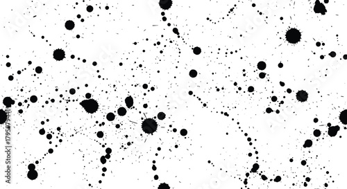 Abstract Splatter Black Ink Drops on White Background