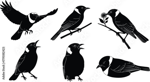 Elegant bird silhouette vector illustration set featuring flying poses, perched moments, singing expressions, floral interaction, detailed wildlife shapes, perfect for nature design and