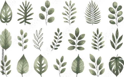 Watercolor green leaves, botanical illustration, leaf diversity, plant species, nature art, foliage design, herbarium style, soft green palette, educational use
