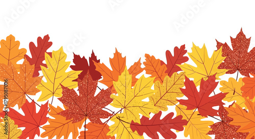 Autumn Leaves Border Colorful Fall Foliage on White Background