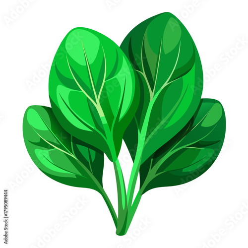 Fresh spinach leaves for healthy eating habits