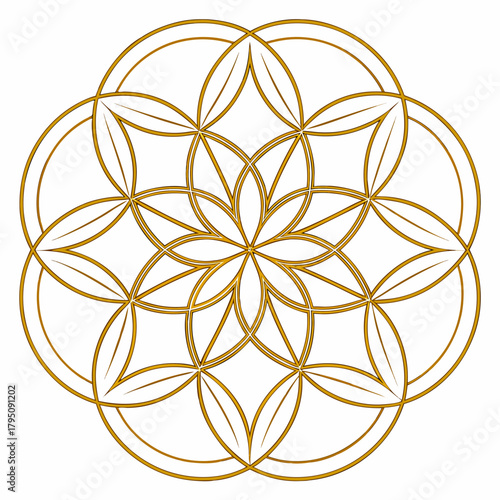 Golden flower of life pattern, featuring interlocking circles and seed shapes in a shimmering gold hue, symbolizing unity, creation, and harmony for spiritual and artistic applications