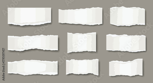 Torn paper scraps and ripped edges on a gray surface, providing design elements for graphic projects