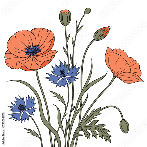 A vibrant illustration of red poppies and blue cornflowers with buds and green leaves on a white background