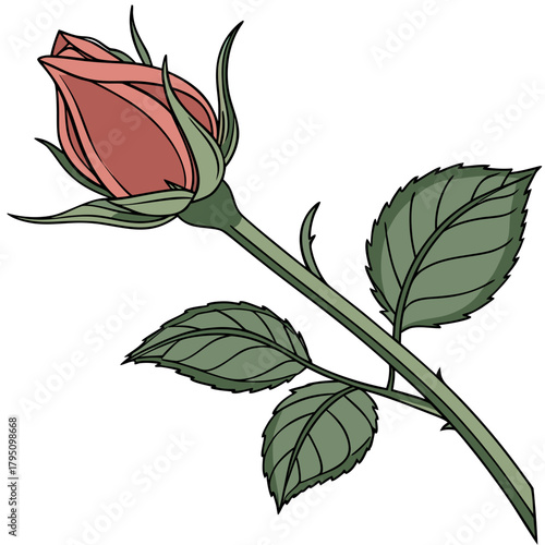 A single unopened pink rosebud with green leaves and thorns on a white background