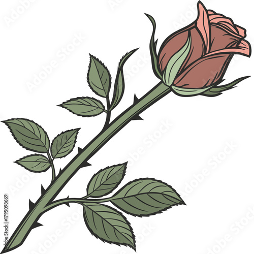 A single delicate rosebud with green leaves and sharp thorns on a white background vector illustration