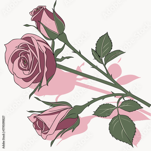 Delicate pink roses with green leaves and stems cast soft pink shadows on a light background