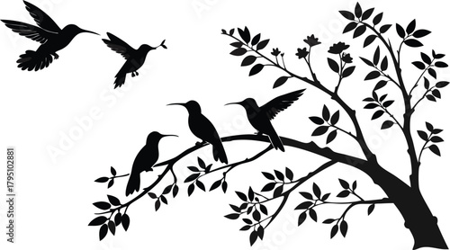 Elegant hummingbird silhouettes perched on tree branches, graceful flight, nature's beauty, wildlife illustration, peaceful garden scene, vector art