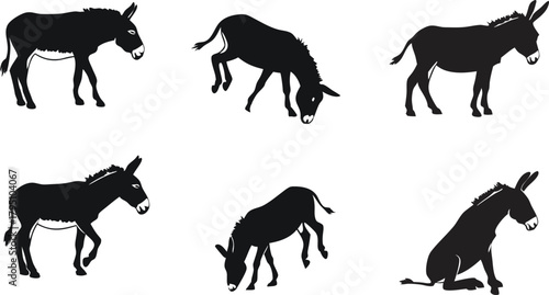 Charming donkey silhouette collection perfect for farm themes, children's books, and rustic designs, originally vector graphics for scalable use