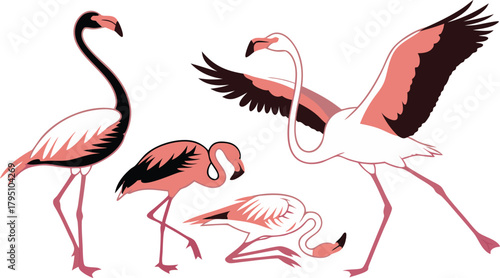 Elegant flamingo flock in dynamic poses, a vibrant tropical design element ideal for summer promotions and exotic themed projects, originally vector based