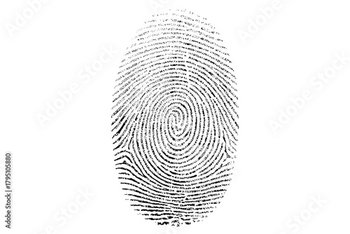 fingerprint vector illustration. Digital biometric security and identification concept.  Biometric authorization. Identification. Isolated human ink fingerprint on clear or white.