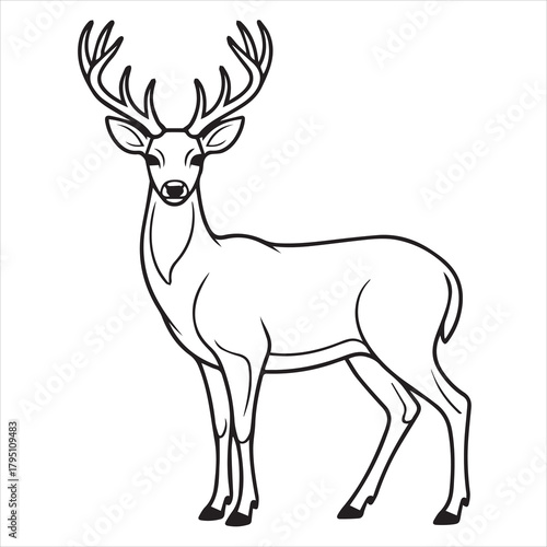 deer vector illustration coloring pager