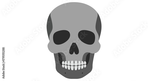 Gray Skull Illustration A Vector Graphic for Halloween and Spooky Themes