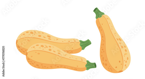 A vibrant illustration depicts three yellow summer squash, showcasing their elongated shape and speckled skin, perfect for healthy cooking and seasonal produce displays.