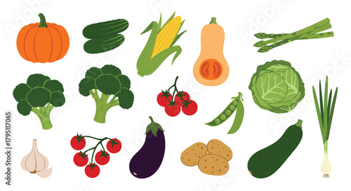 A colorful assortment of fresh vegetables including pumpkin, broccoli, corn, tomatoes, zucchini, eggplant, and more, arranged for a healthy lifestyle illustration.