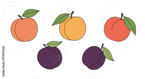 A colorful assortment of fresh fruits including peaches, apricots, and plums arranged on a white background, showcasing their vibrant hues and natural shapes.