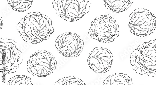 Seamless pattern of hand-drawn cabbage heads on a white background, perfect for culinary or agricultural themed designs and illustrations.