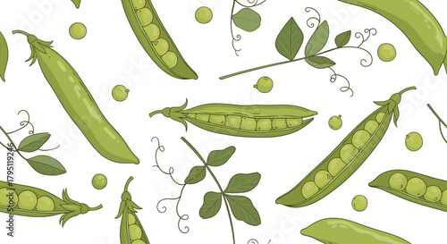 A vibrant, hand-drawn pattern of fresh green peas in their pods and scattered individual peas, showcasing a healthy and natural botanical illustration.