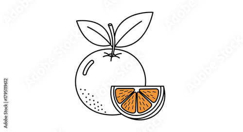 A charming hand-drawn illustration depicts a whole orange alongside a sliced half, showcasing its juicy segments and vibrant color, perfect for healthy eating concepts.