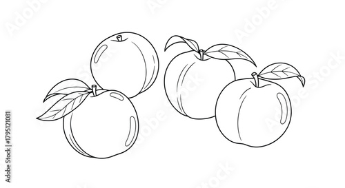 A simple black and white line drawing of four plums with stems and leaves, arranged in a casual grouping, perfect for illustrations or coloring pages.