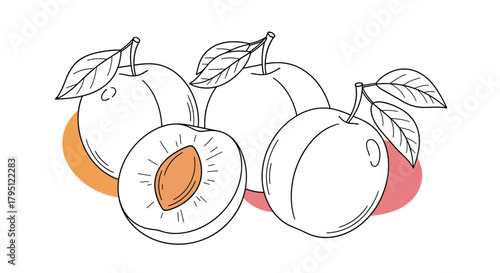 A charming hand-drawn illustration depicts a collection of ripe plums, including a halved fruit showcasing its pit, against a simple background.