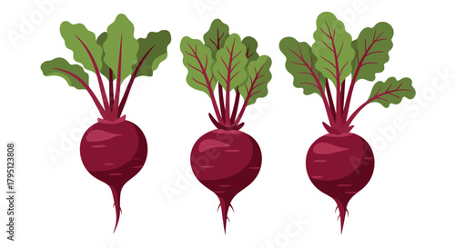 A vibrant illustration of three fresh beets with leafy green tops, showcasing their deep burgundy color and natural form, perfect for healthy eating concepts.