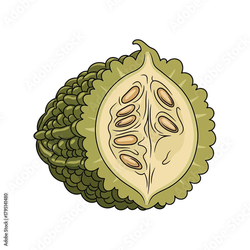 Cross Section of Bitter Melon, Revealing Seeds and Pulp, Isolated on White