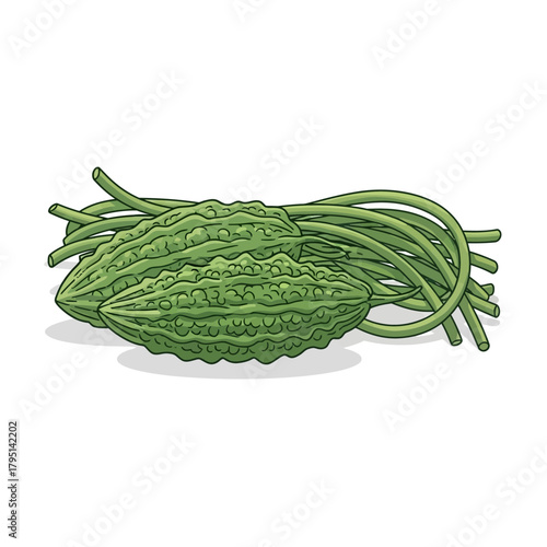 Vibrant illustration featuring two bitter melons with leaves on plain backdrop