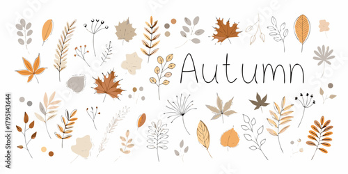 Collection of hand drawn autumn leaves and branches with the word autumn in the center