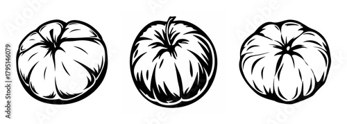 Three sketch style mandarin oranges in a row simple drawing of citrus fruit for design