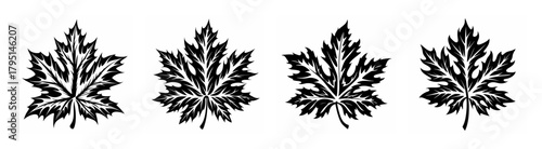 Four detailed black and white maple leaf silhouettes showcasing autumn nature and canadian symbolism