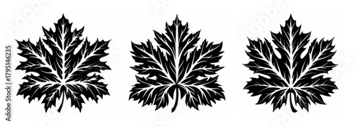 Three detailed black maple leaf silhouettes reflecting autumn nature and organic forms