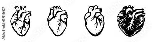 Artistic rendering of anatomical hearts in black and white line art style sequence
