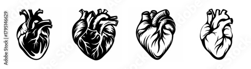 Anatomical heart graphics artistic rendering of human heart shapes medical symbolism love emotion
