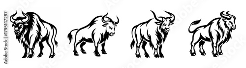 Four powerful charging bulls detailed sketch line art majestic bovine creatures in action