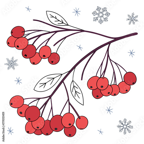 A charming illustration featuring rowan branches adorned with vibrant red berries, gracefully scattered snowflakes, and delicate leaves
