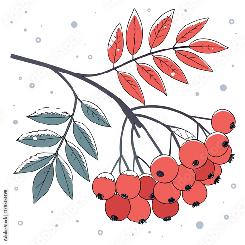 A delightful illustration showcasing a rowan branch adorned with vibrant red berries and lush green leaves, lightly dusted with snow