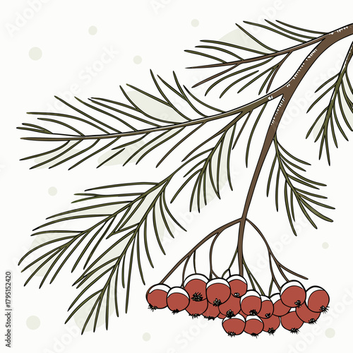 A rowan branch with snow on a, a beautiful winter scene with a festive atmosphere and a touch of elegance and natural beauty