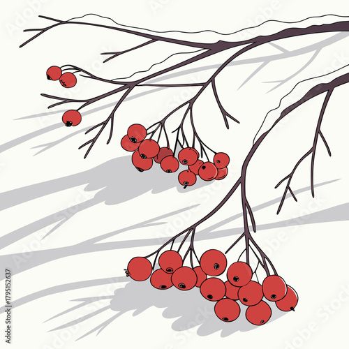 Serene winter illustration featuring rowan branches with red berries and shadows on a snowy background a seasonal design