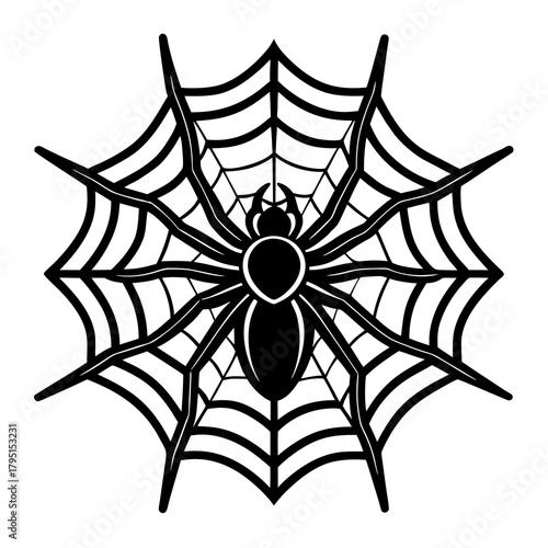 Stylized black spider centered on a detailed white spiderweb illustration