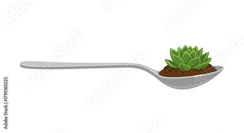 A small succulent plant growing in soil on a spoon