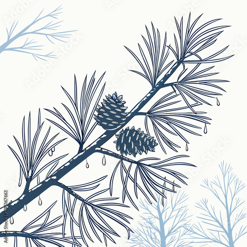 Close up of a pine branch with cones and needles in a minimalist blue and white illustration style