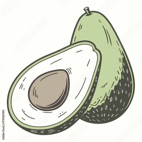 Hand drawn illustration of a whole avocado next to a halved avocado showing the pit and creamy flesh