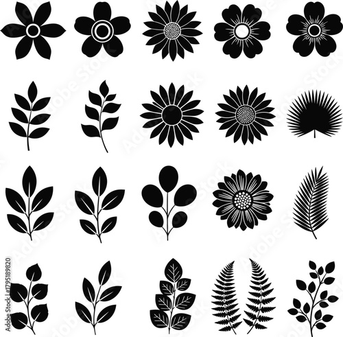 Vector floral elements black and white flower leaf botanical designs art eps silhouette