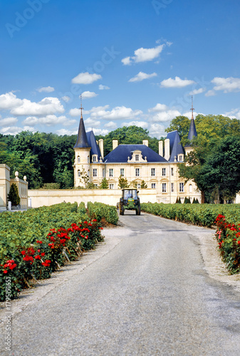 Winegrowing in Bordeaux, France