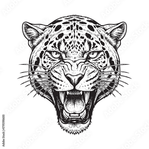 Fierce Jaguar Head Roaring Aggressive Animal Portrait