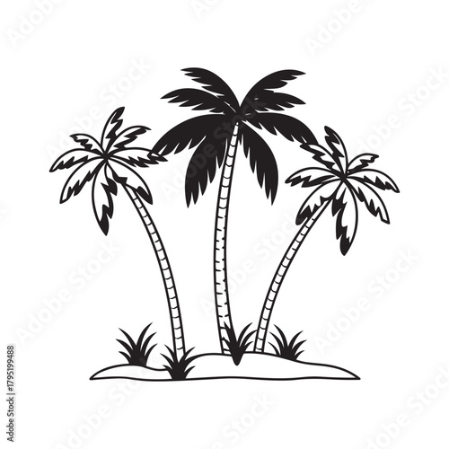vector illustration of palm trees