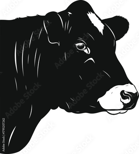 Angus cattle breed vector illustration black and white farm animal art eps silhouette